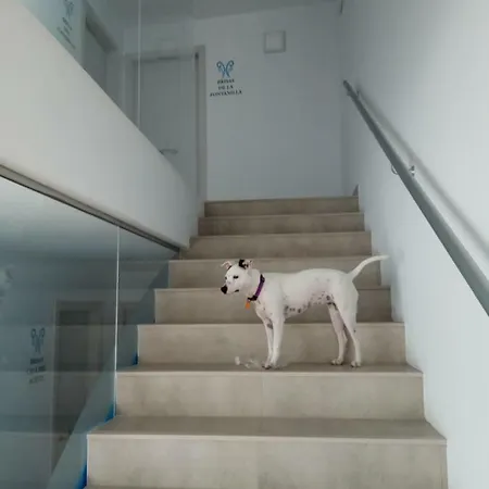 Brisas De Conil Konukevi Conil De La Frontera