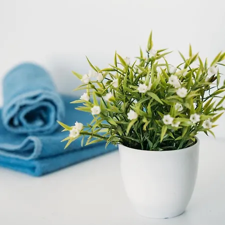 Brisas De Conil Guest house