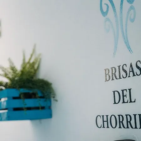 Brisas De Conil Guest house