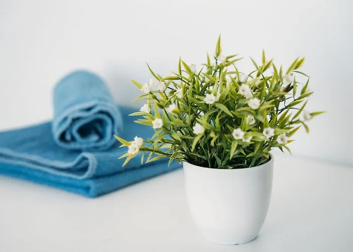 Brisas De Conil Vendégház